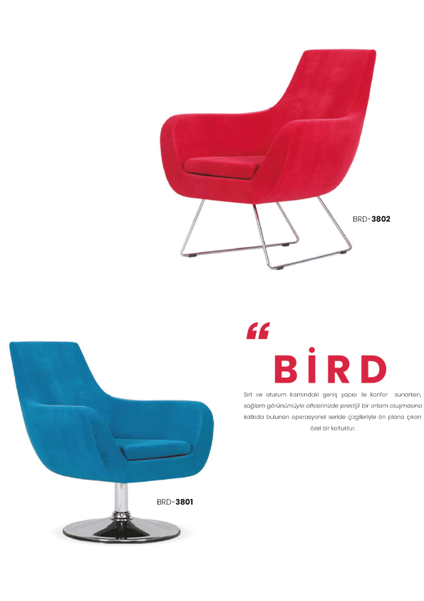 Bird