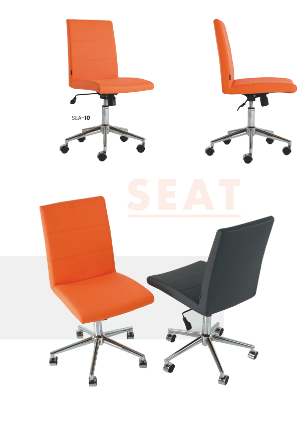 Seat